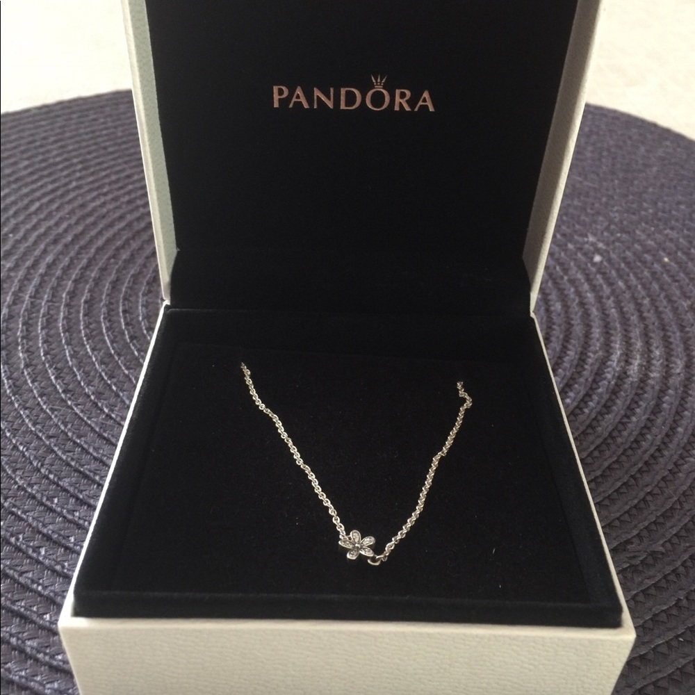 Pandora adjustable necklace